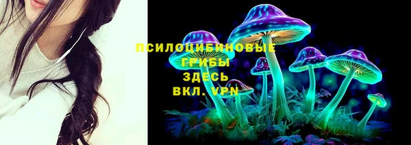 амф Беломорск