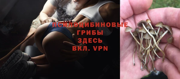 а пвп мука Богородск