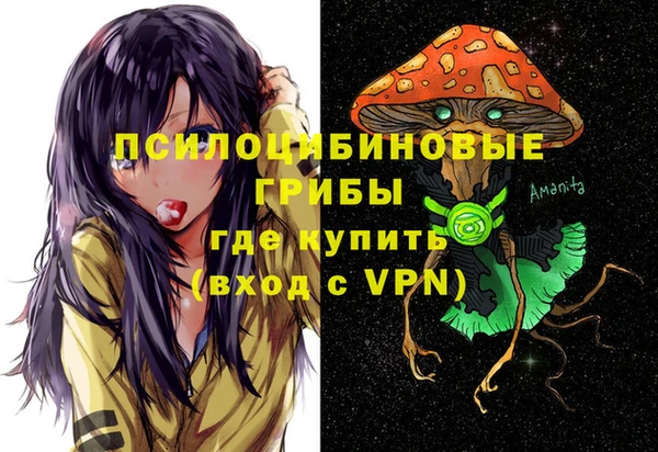 дурь Белокуриха