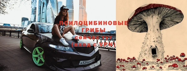 прущие крисы Богданович
