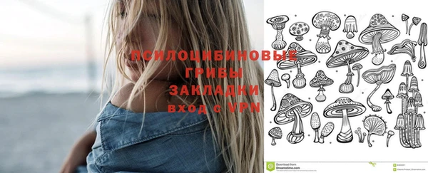 амф Беломорск