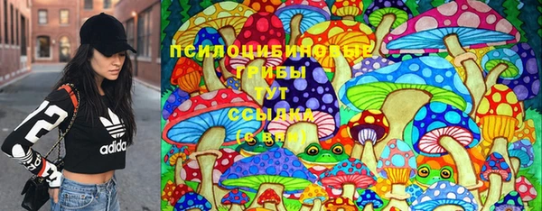 дурь Белокуриха