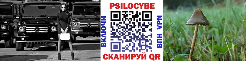 darknet какой сайт  Тосно  Псилоцибиновые грибы ЛСД 